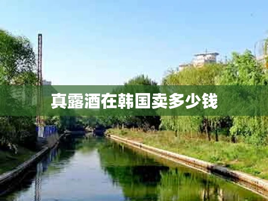 真露酒在韩国卖多少钱