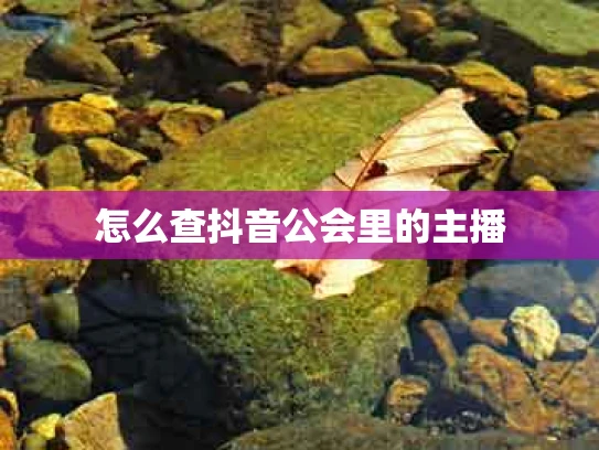 怎么查抖音公会里的主播