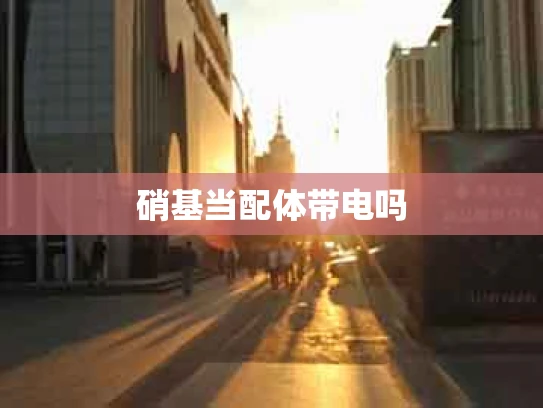 硝基当配体带电吗