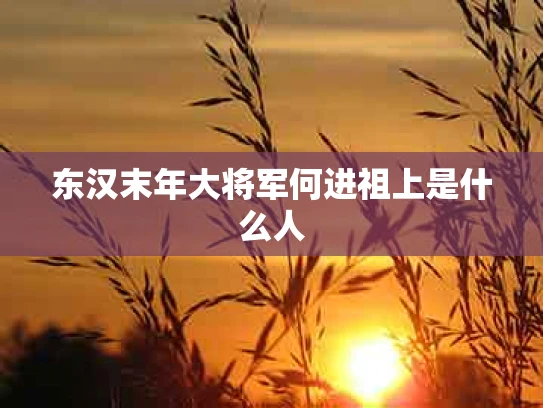 东汉末年大将军何进祖上是什么人