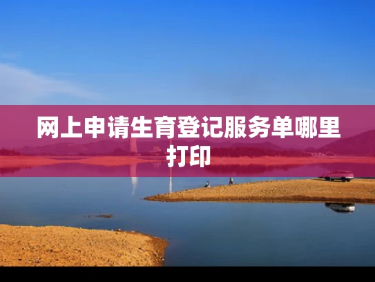网上申请生育登记服务单哪里打印
