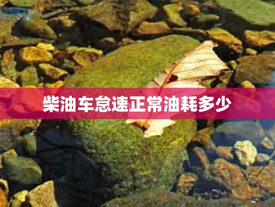 柴油车怠速正常油耗多少