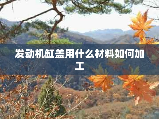 发动机缸盖用什么材料如何加工