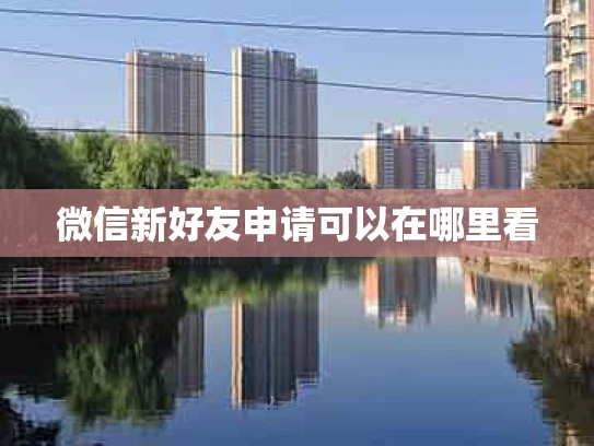 微信新好友申请可以在哪里看