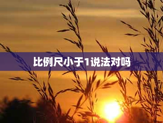 比例尺小于1说法对吗