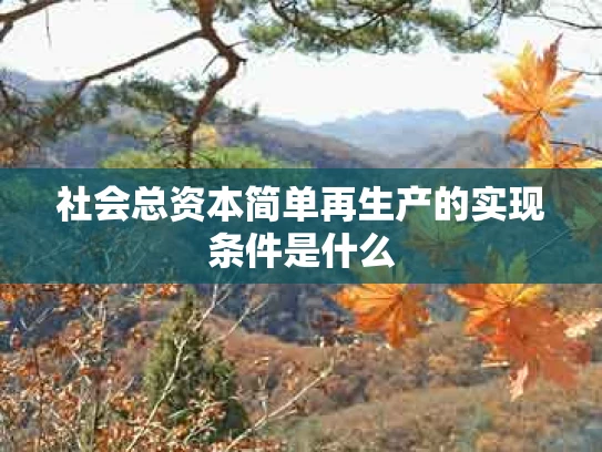 社会总资本简单再生产的实现条件是什么