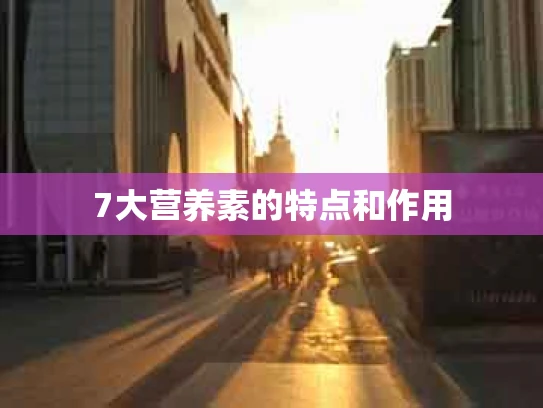 7大营养素的特点和作用