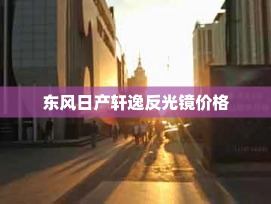 东风日产轩逸反光镜价格