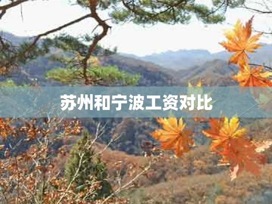 苏州和宁波工资对比