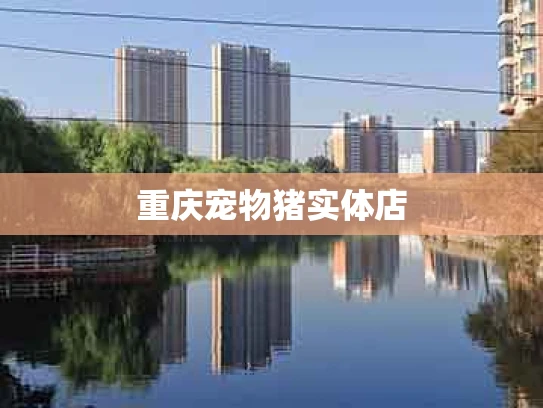 重庆宠物猪实体店