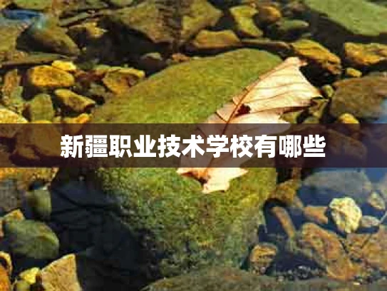 新疆职业技术学校有哪些