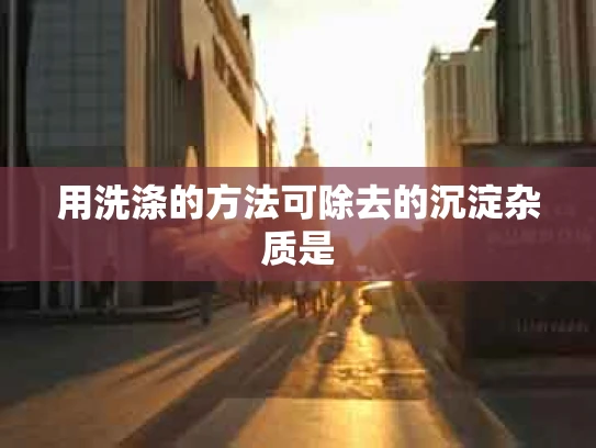 用洗涤的方法可除去的沉淀杂质是