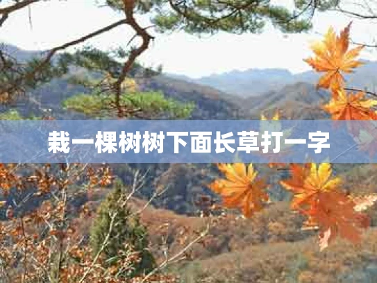 栽一棵树树下面长草打一字