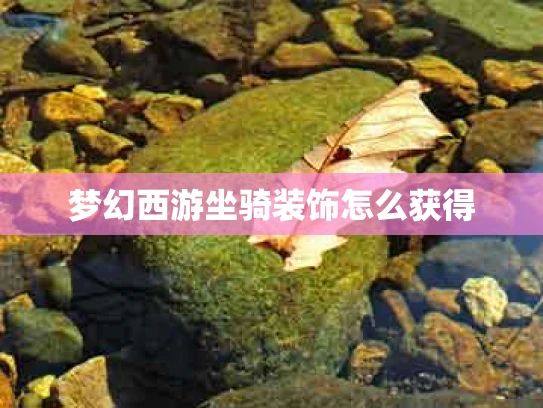 梦幻西游坐骑装饰怎么获得