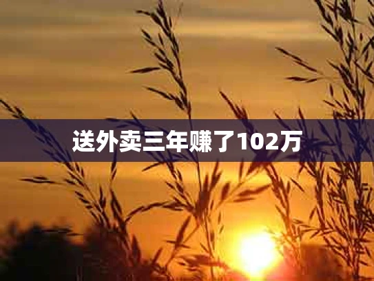 送外卖三年赚了102万