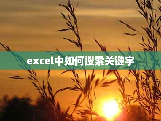 excel中如何搜索关键字