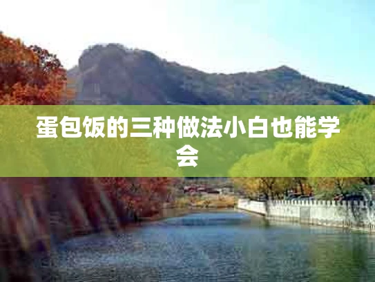 蛋包饭的三种做法小白也能学会