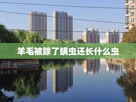 羊毛被除了螨虫还长什么虫