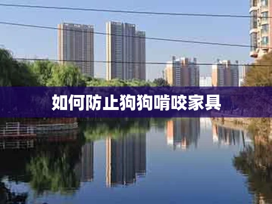 如何防止狗狗啃咬家具