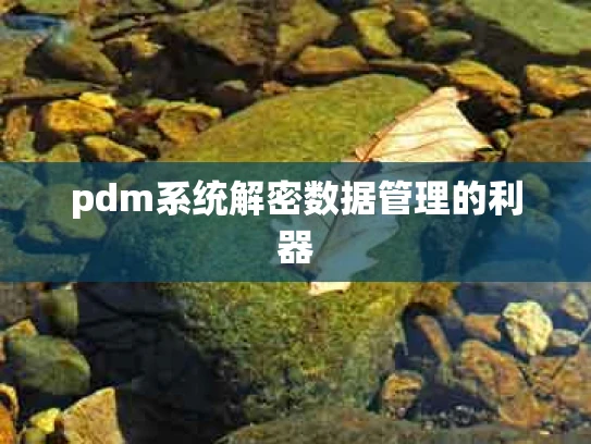 pdm系统解密数据管理的利器