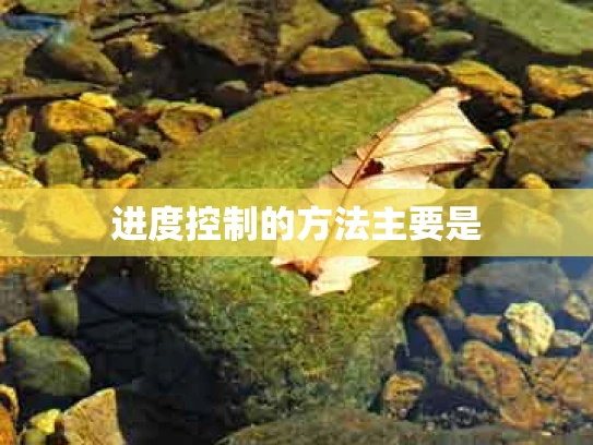 进度控制的方法主要是