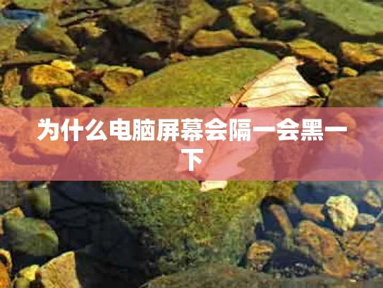 为什么电脑屏幕会隔一会黑一下