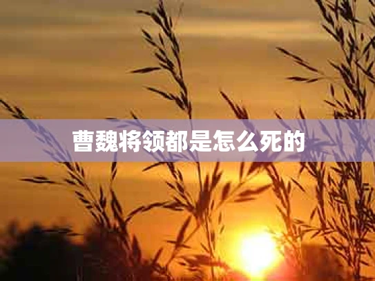 曹魏将领都是怎么死的