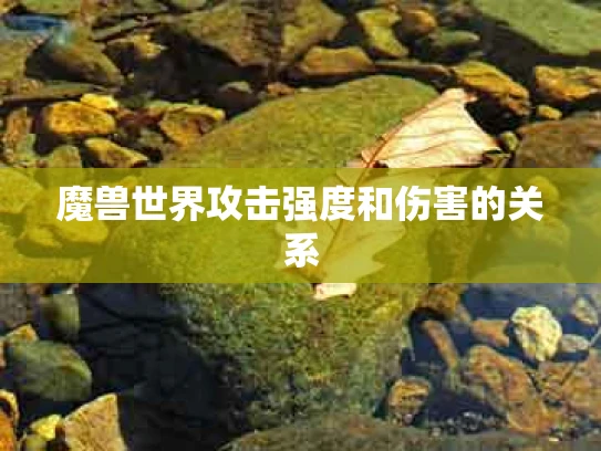 魔兽世界攻击强度和伤害的关系