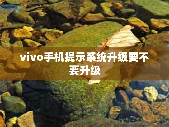 vivo手机提示系统升级要不要升级