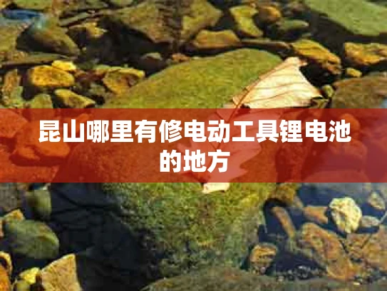 昆山哪里有修电动工具锂电池的地方