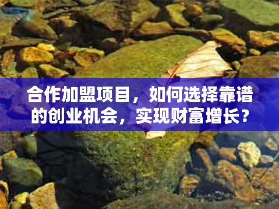 合作加盟项目，如何选择靠谱的创业机会，实现财富增长？