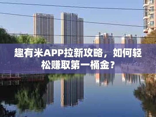 趣有米APP拉新攻略，如何轻松赚取第一桶金？