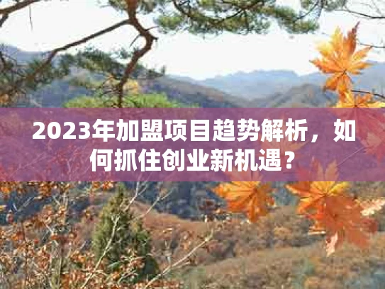 2023年加盟项目趋势解析，如何抓住创业新机遇？