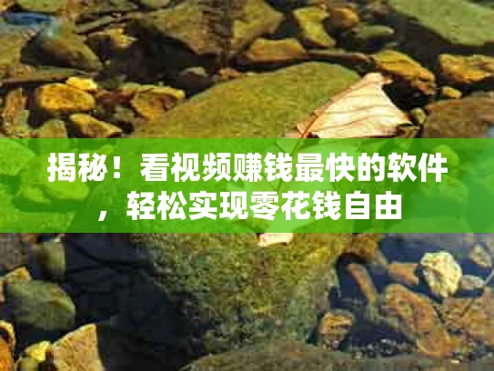 揭秘！看视频赚钱最快的软件，轻松实现零花钱自由