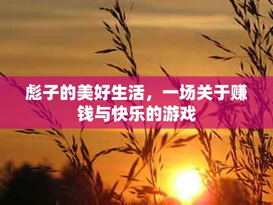 彪子的美好生活，一场关于赚钱与快乐的游戏