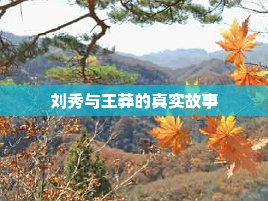 刘秀与王莽的真实故事