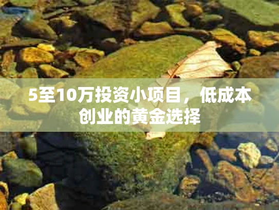 5至10万投资小项目，低成本创业的黄金选择