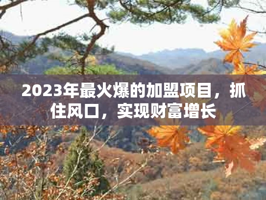 2023年最火爆的加盟项目，抓住风口，实现财富增长