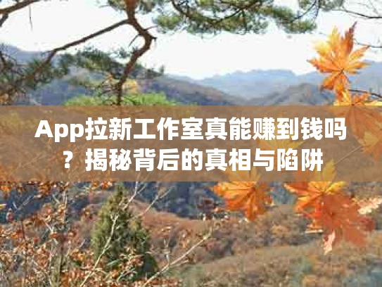 App拉新工作室真能赚到钱吗？揭秘背后的真相与陷阱