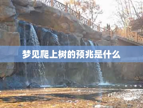 梦见爬上树的预兆是什么