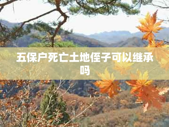 五保户死亡土地侄子可以继承吗