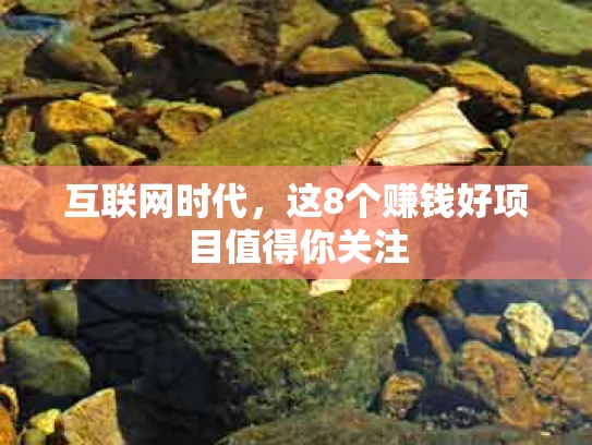 互联网时代，这8个赚钱好项目值得你关注