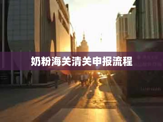 奶粉海关清关申报流程