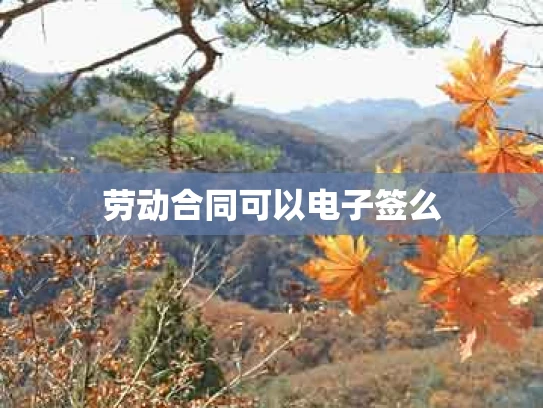 劳动合同可以电子签么