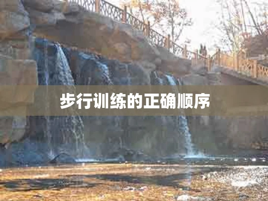 步行训练的正确顺序