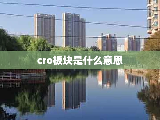cro板块是什么意思