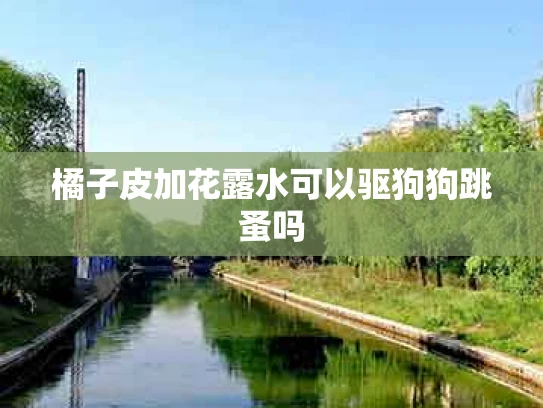橘子皮加花露水可以驱狗狗跳蚤吗