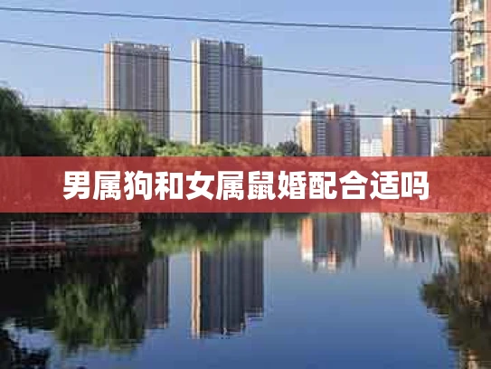 男属狗和女属鼠婚配合适吗
