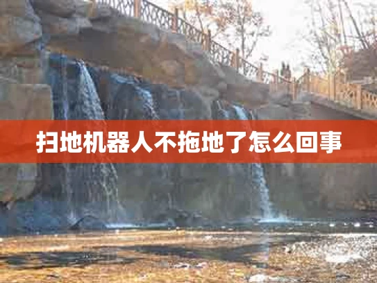 扫地机器人不拖地了怎么回事