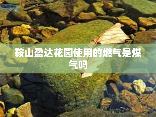 鞍山盈达花园使用的燃气是煤气吗